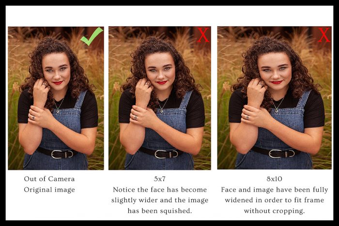 Ray Davis Photography Understanding Crop Ratios What Are Print Sizes